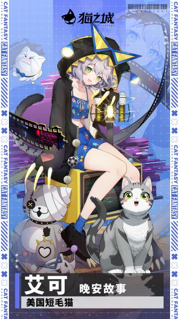 美短猫：艾可-晚安故事即将登场！