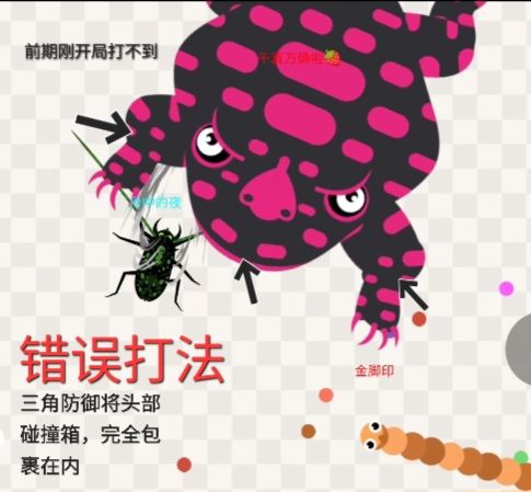 如何正确用甲虫 3