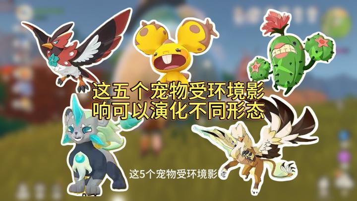 宠物的不同形态截图