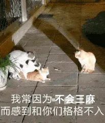 发现大家都喜欢玩三麻 1