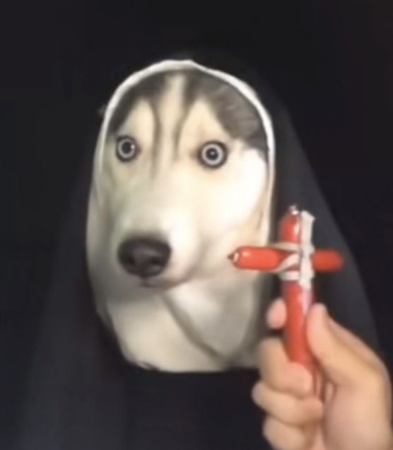义父们帮帮忙吧！截图