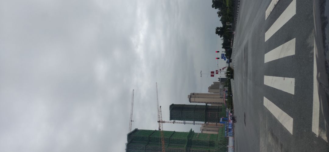 端午节快乐 1