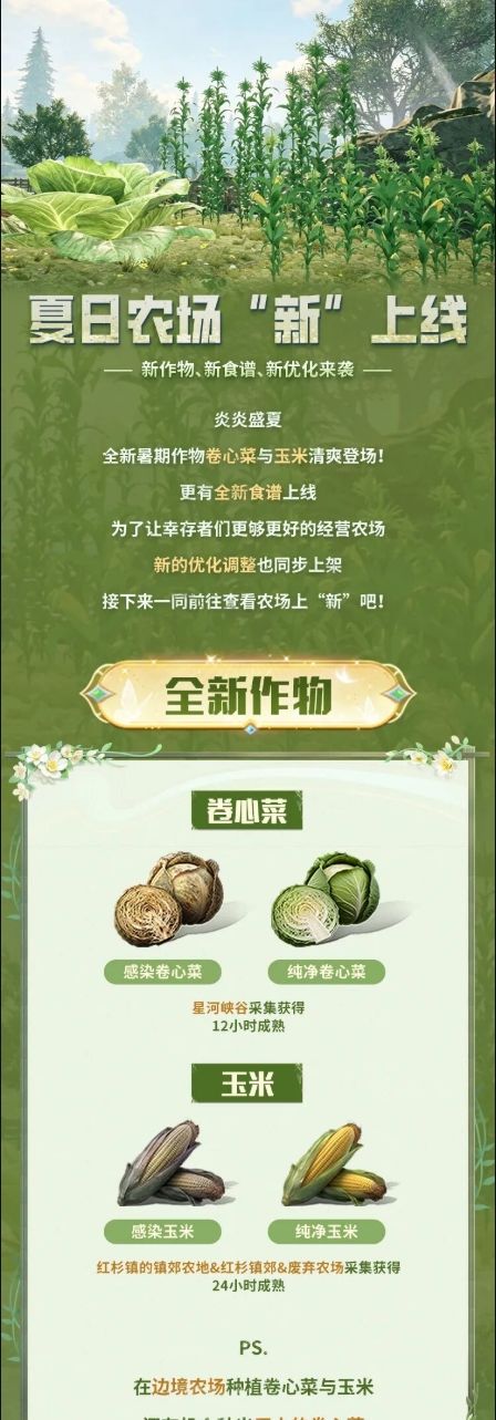 夏日农场大换新!卷心玉米新美味~ 1