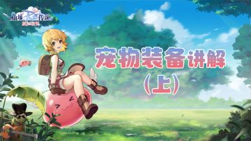 新手教学 | 关于宠物装备，你一定要知道的事！