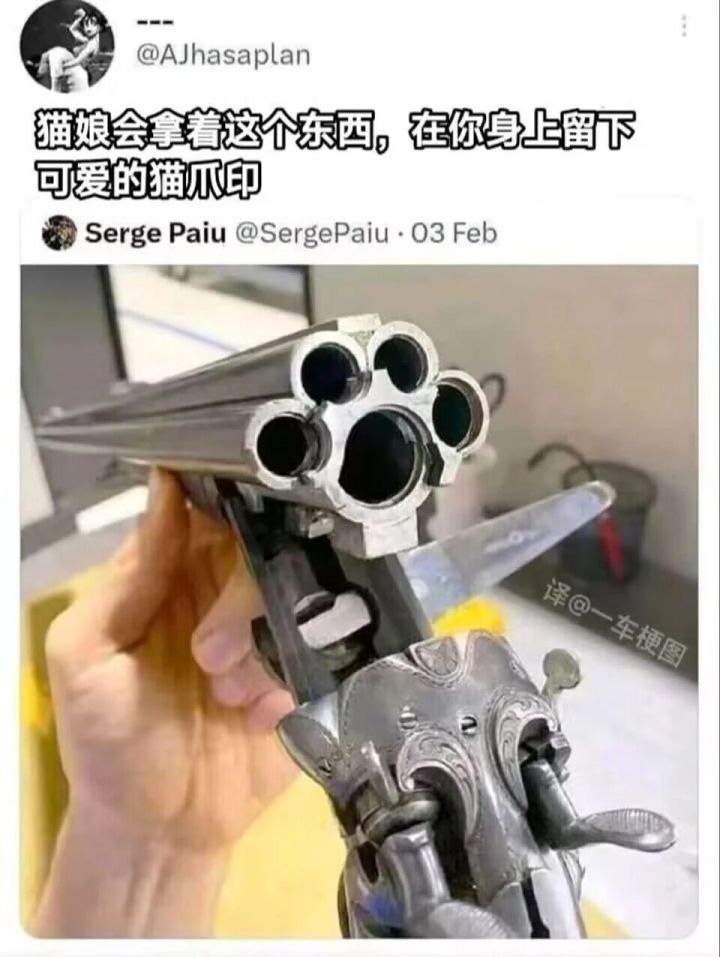宝藏游戏又又又送皮肤啦截图