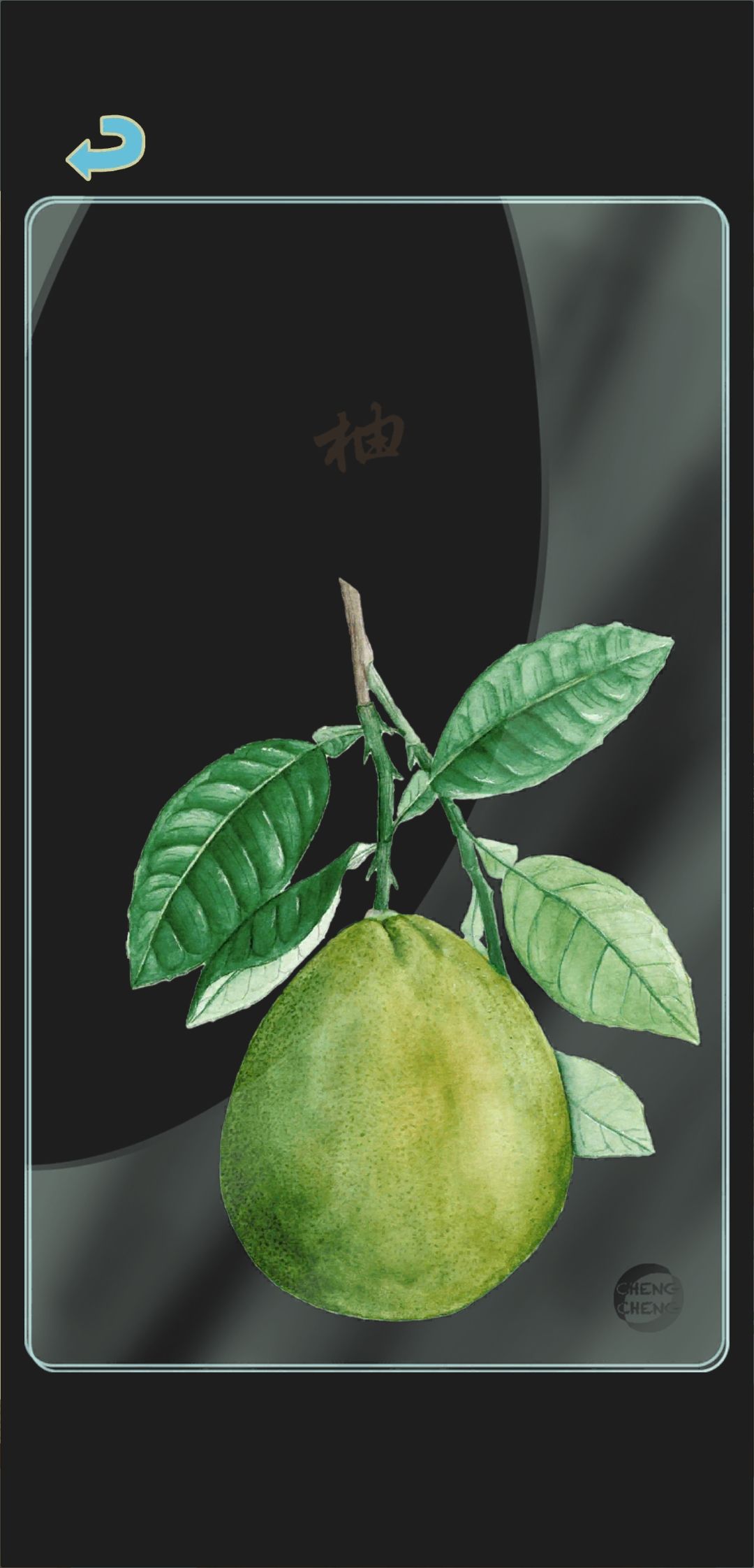 秋季树种透卡1 1