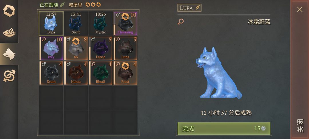 暗祭狼 3