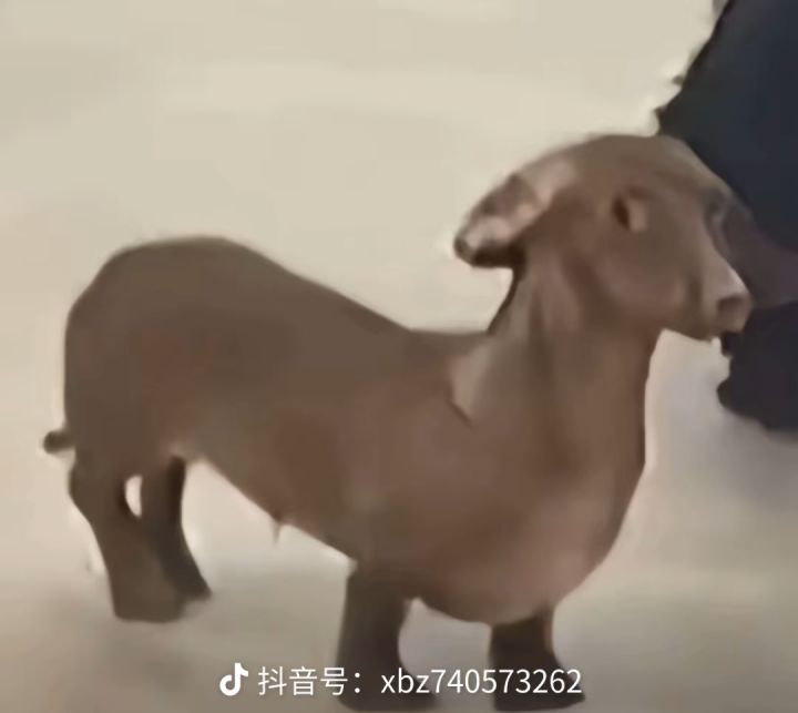 又更新了啥?也没公告说明?硬暗改?截图