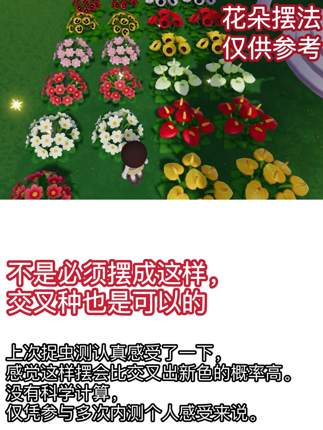 《心动小镇》园艺/种花/杂交攻略 2