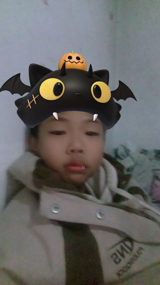 动态图片 1