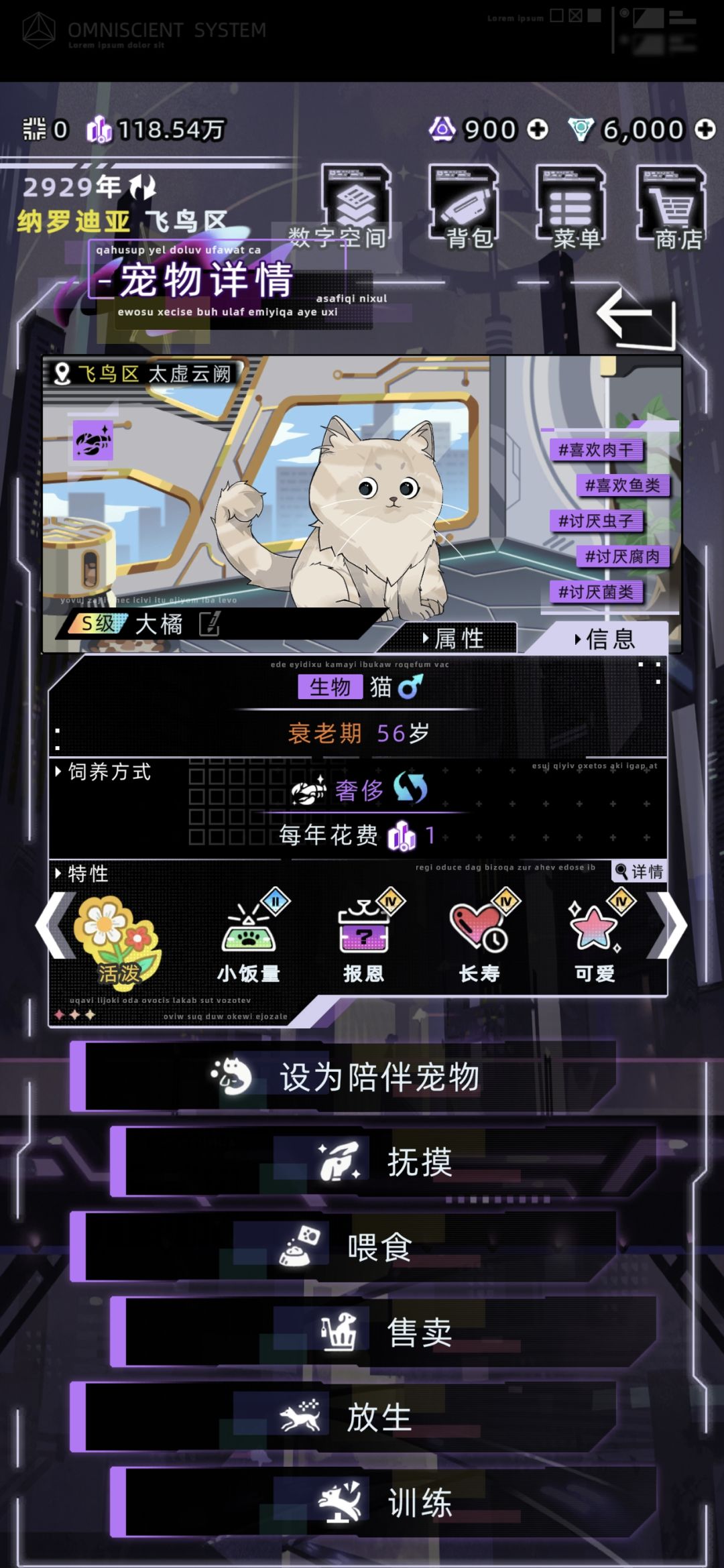 猫都56了 1