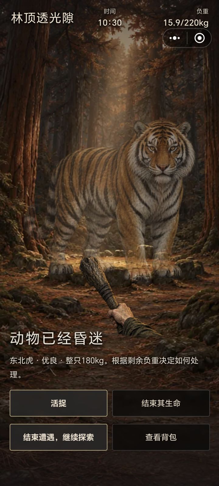 等一只珍品大老虎截图