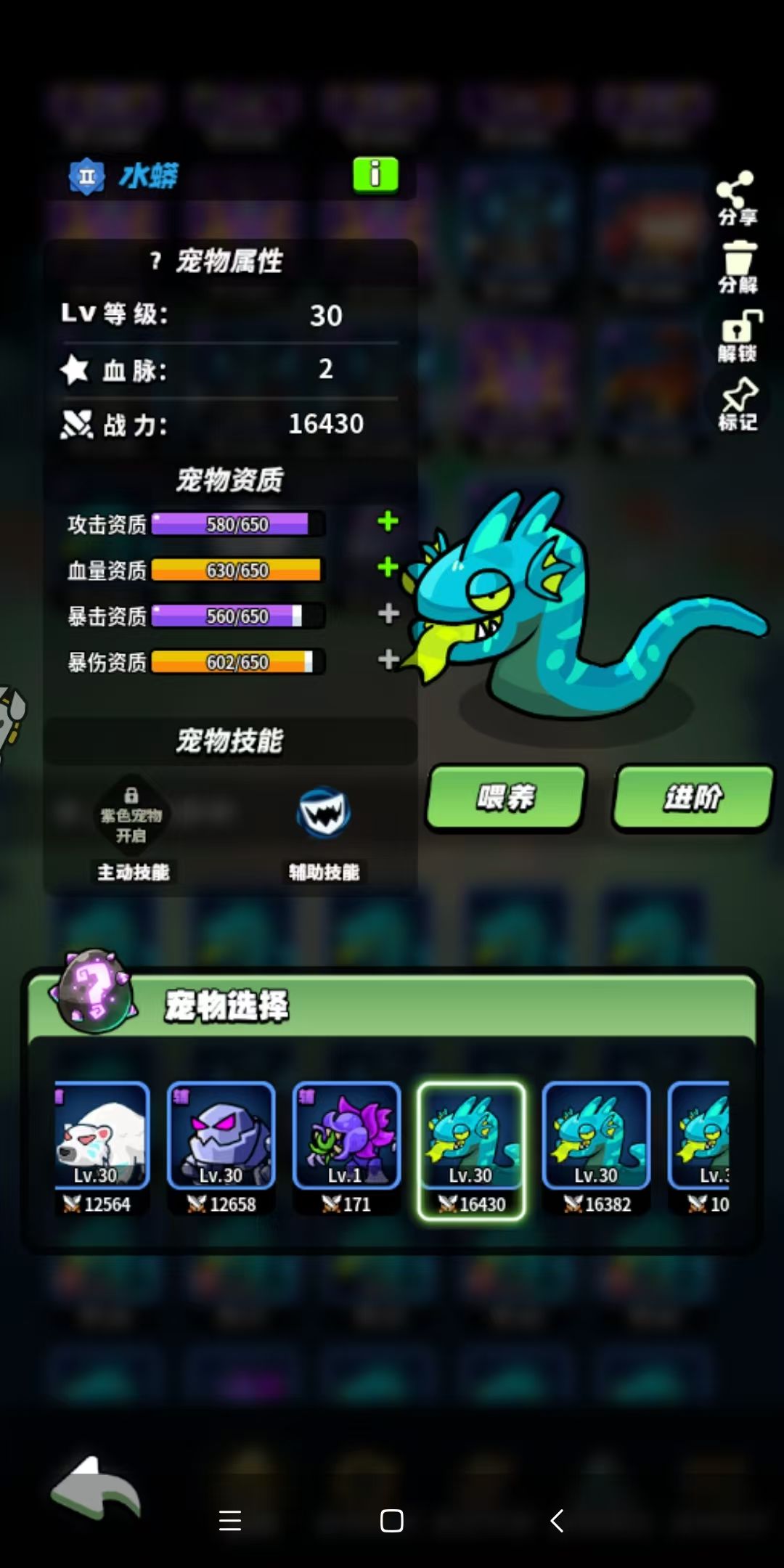 合宠物 2