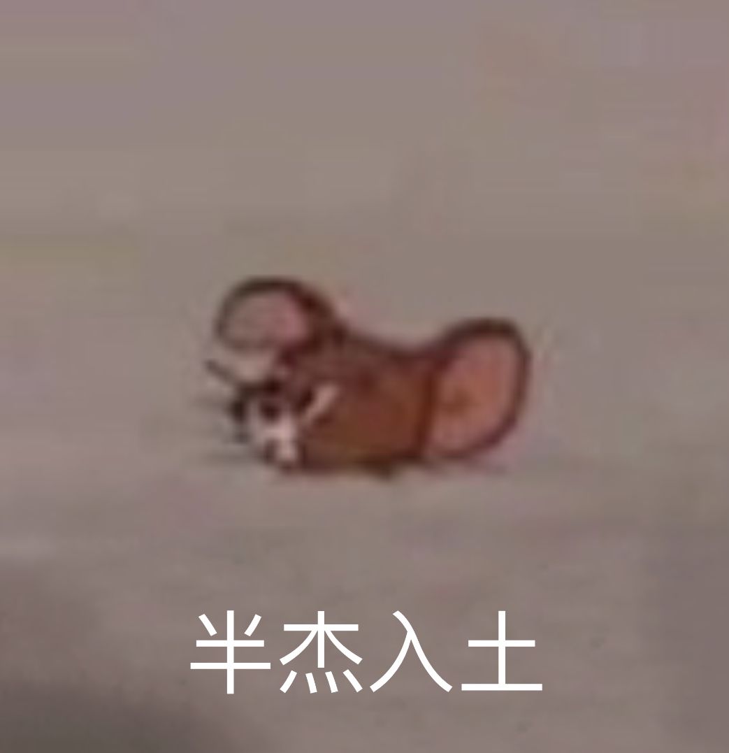 动态图片 4