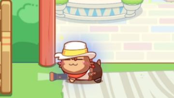 西部牛仔猫猫带你感受不一样的猫旅馆~