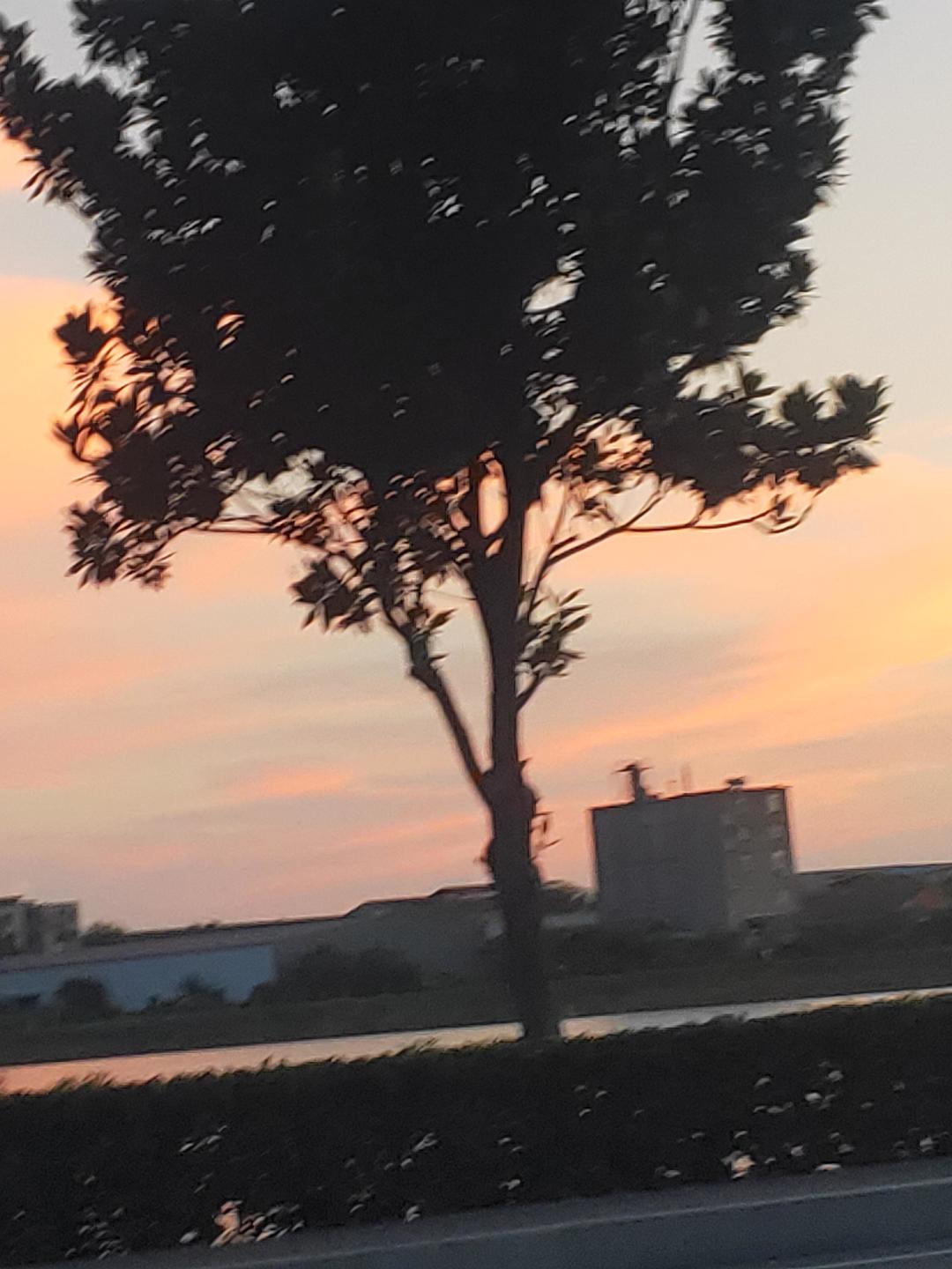 动态图片 16