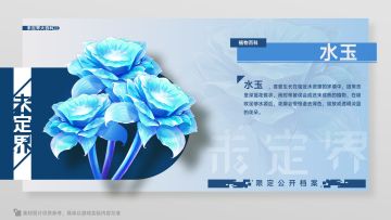 【未定界大百科】植物篇——水玉