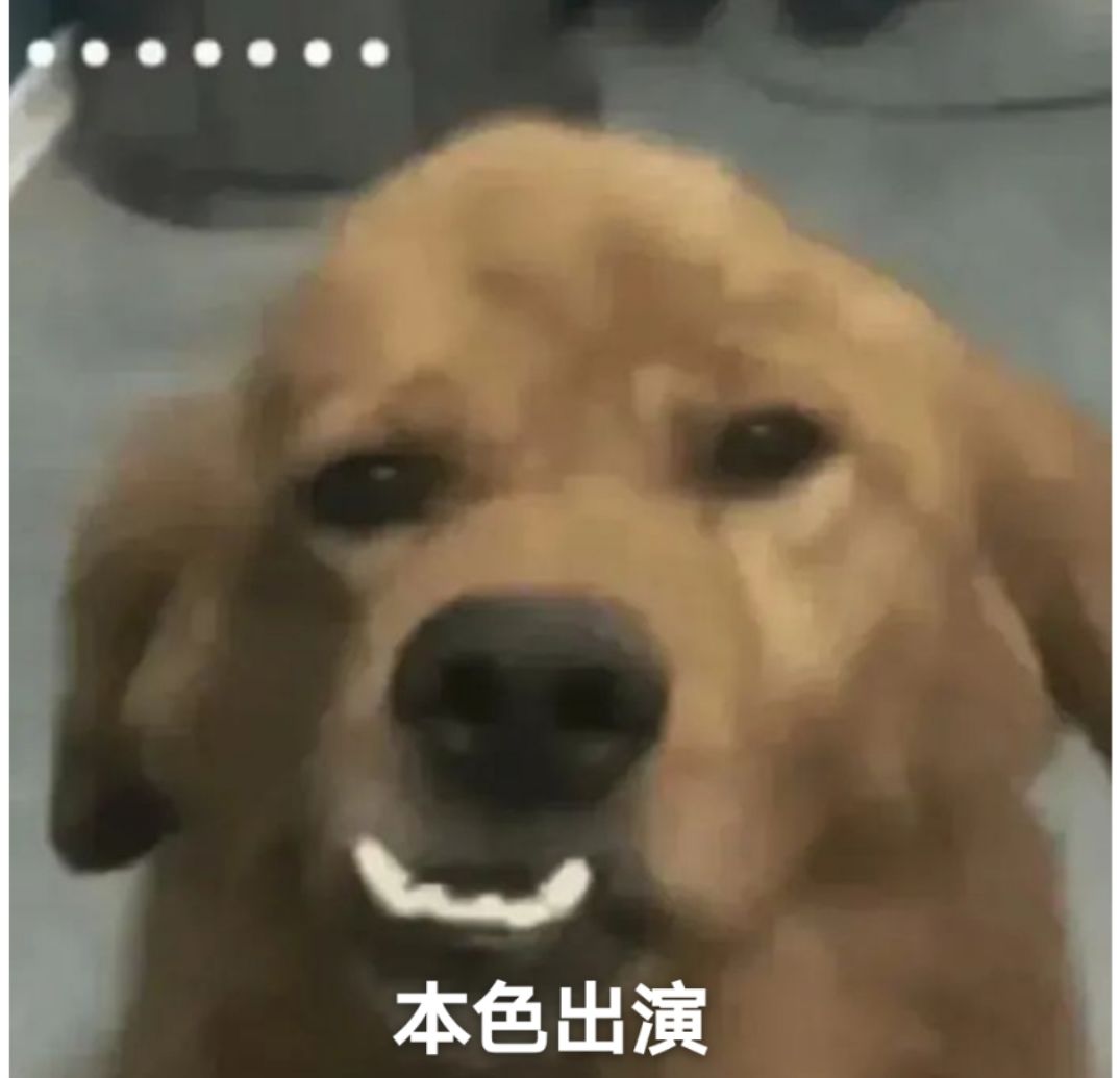 游戏很不错,挺耐玩的 1