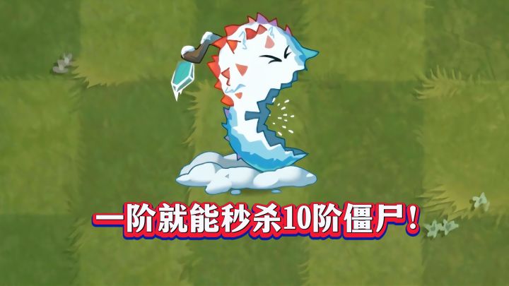 最强冰系概念神!寒霜白毛丹1-5阶实测截图