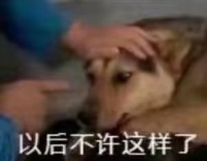 从零开始的寒铜金精软剑 3