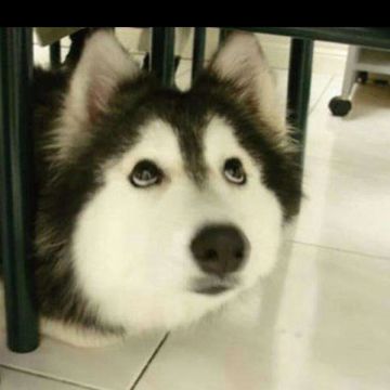 关于伤害的计算方式科普