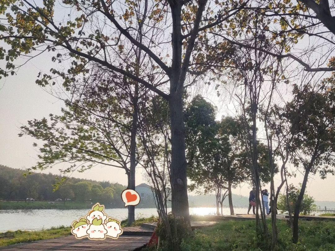 萝~跟着人一起去旅行呀! 1