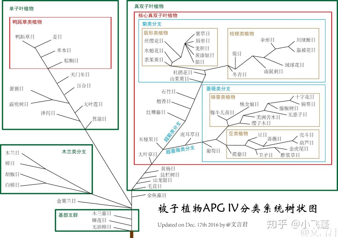 论哪个科的物种是在老农种树实装的最多的截图