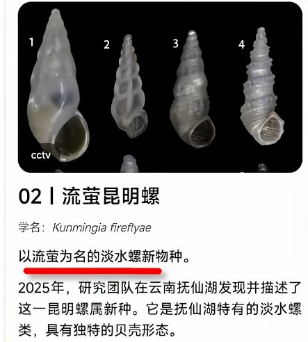 【快讯】论文以米哈游角色命名新物种好厨子 2