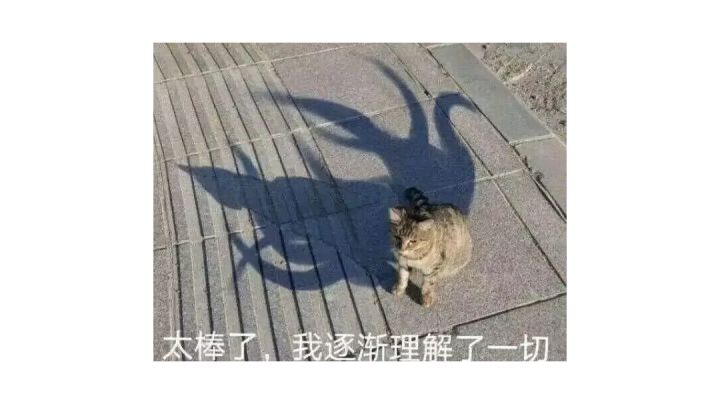 虚空索敌bug(封面瞎找)截图