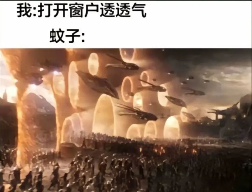 ✨今日份梗图分享第九十四期✨ 2