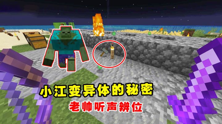 我的世界Him传说51：小江变异体的秘密，老帅听声辨位截图