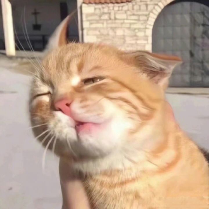 卷轴啊卷轴截图