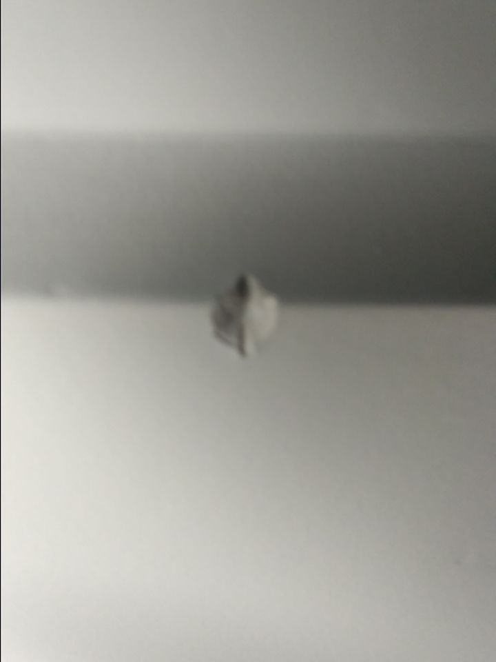 挂张破败的天花板。老实说现在的网络环境已经彻底看不懂了,各种人吵来吵去统一采取以暴制暴,看到感觉像的先不管是不是就劈头盖脸一顿骂,所有人都像是破罐子破摔一样,到处都是暴力,语言暴力,所有人都在说其他人有错,我没错你错了,我没错你错了,你先惹我的,你先惹我的。就是暴力,单纯的暴力。截图