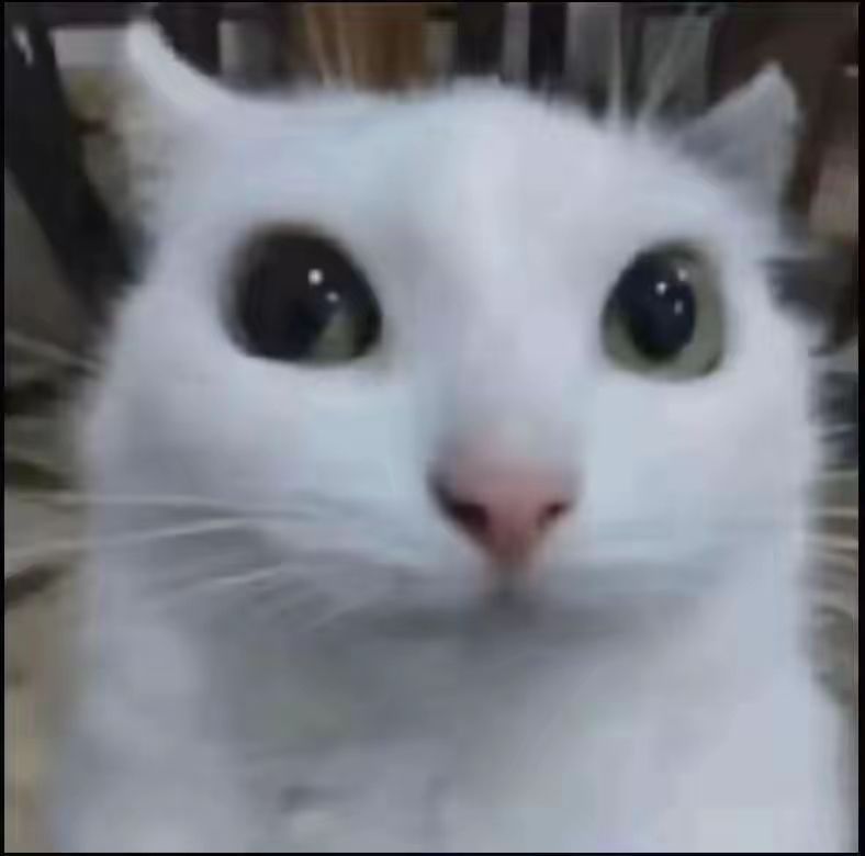第二个梦幻 1