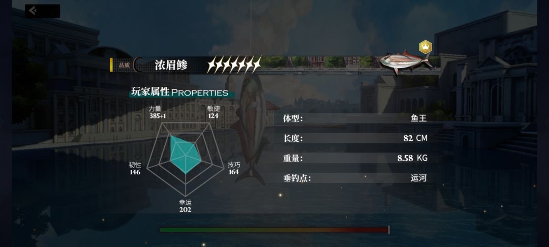 终于有七星鱼了 2