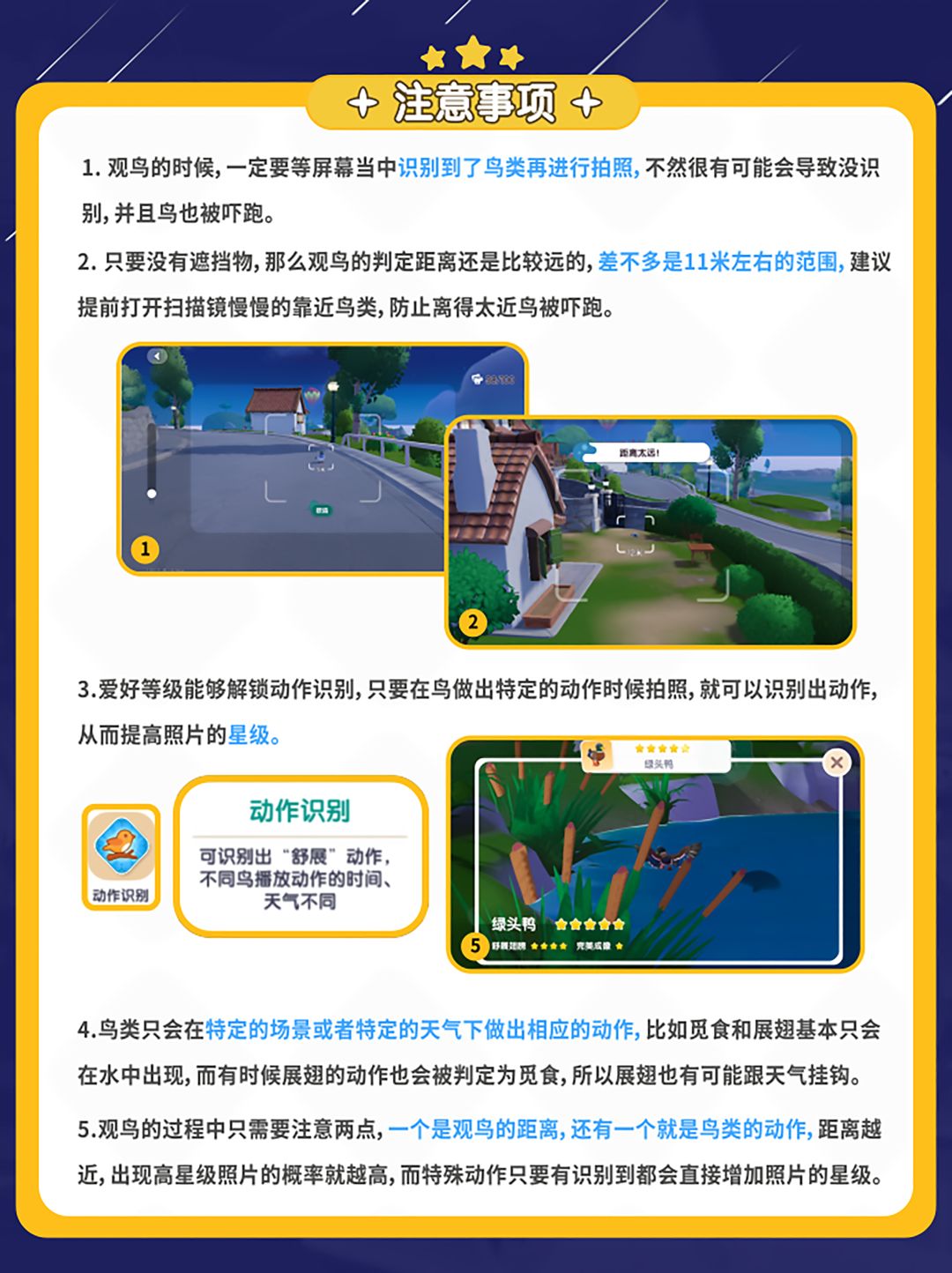 心动小镇全鸟类图鉴及拍照技巧分享～ 2