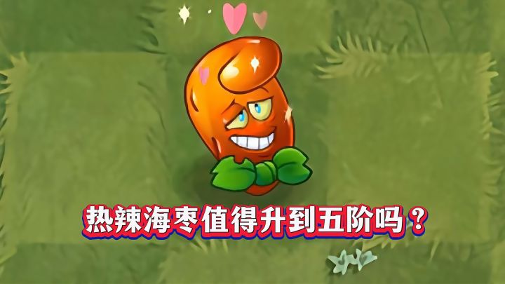 热辣海枣升五阶是坑还是宝?1-5阶实测!截图