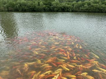 副本输出及内功增伤数据