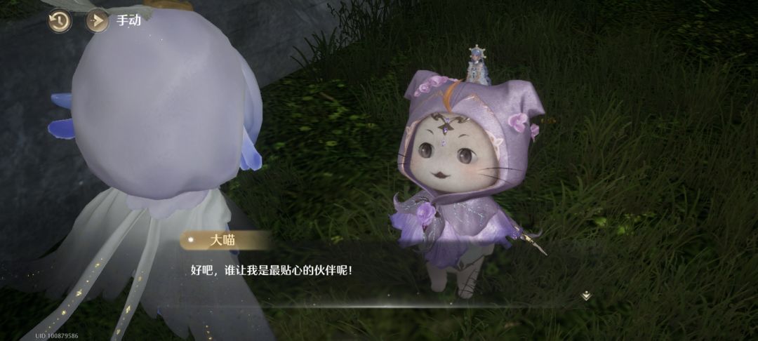 大喵!最棒的伙伴! 2