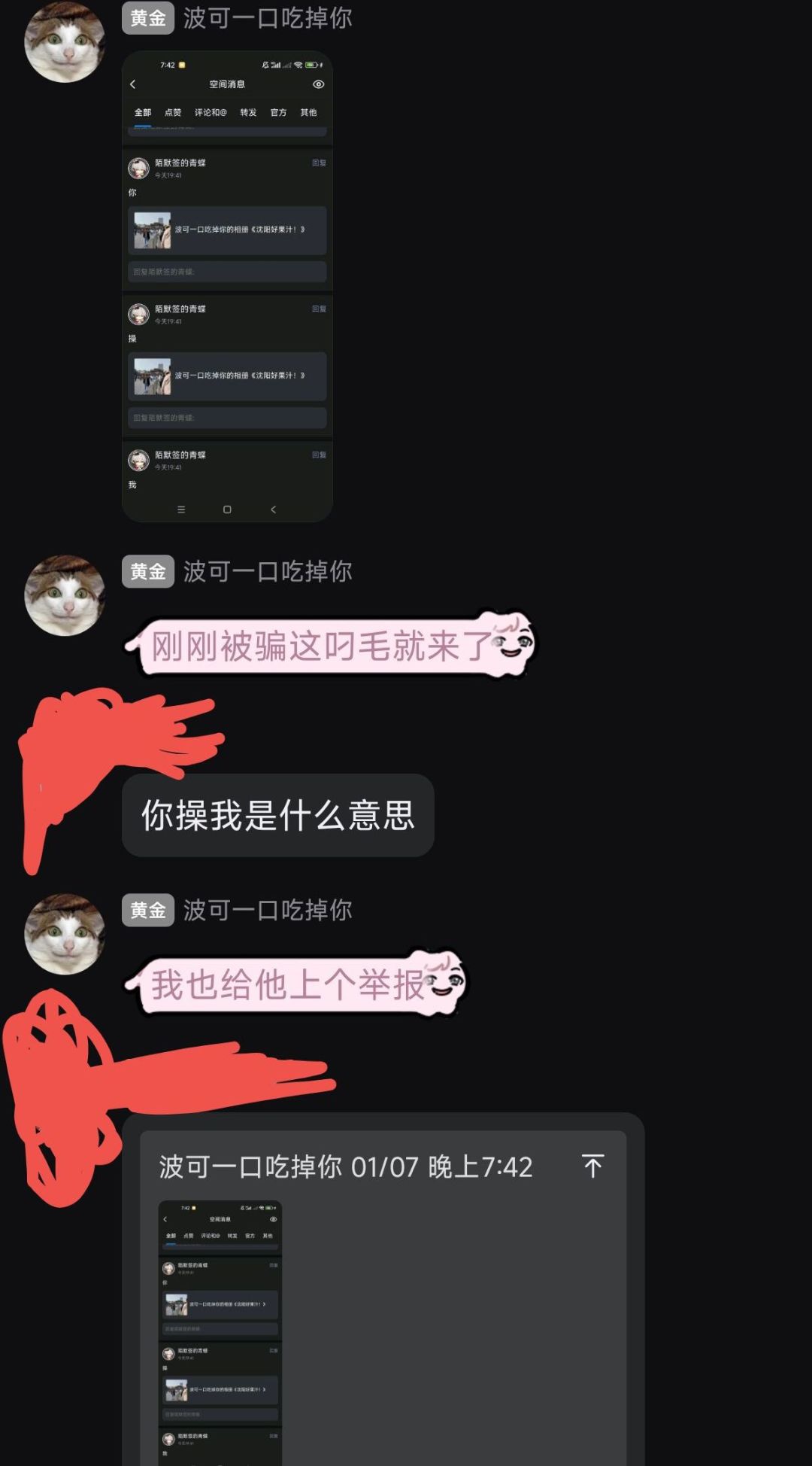 不与斯特列派和解 11