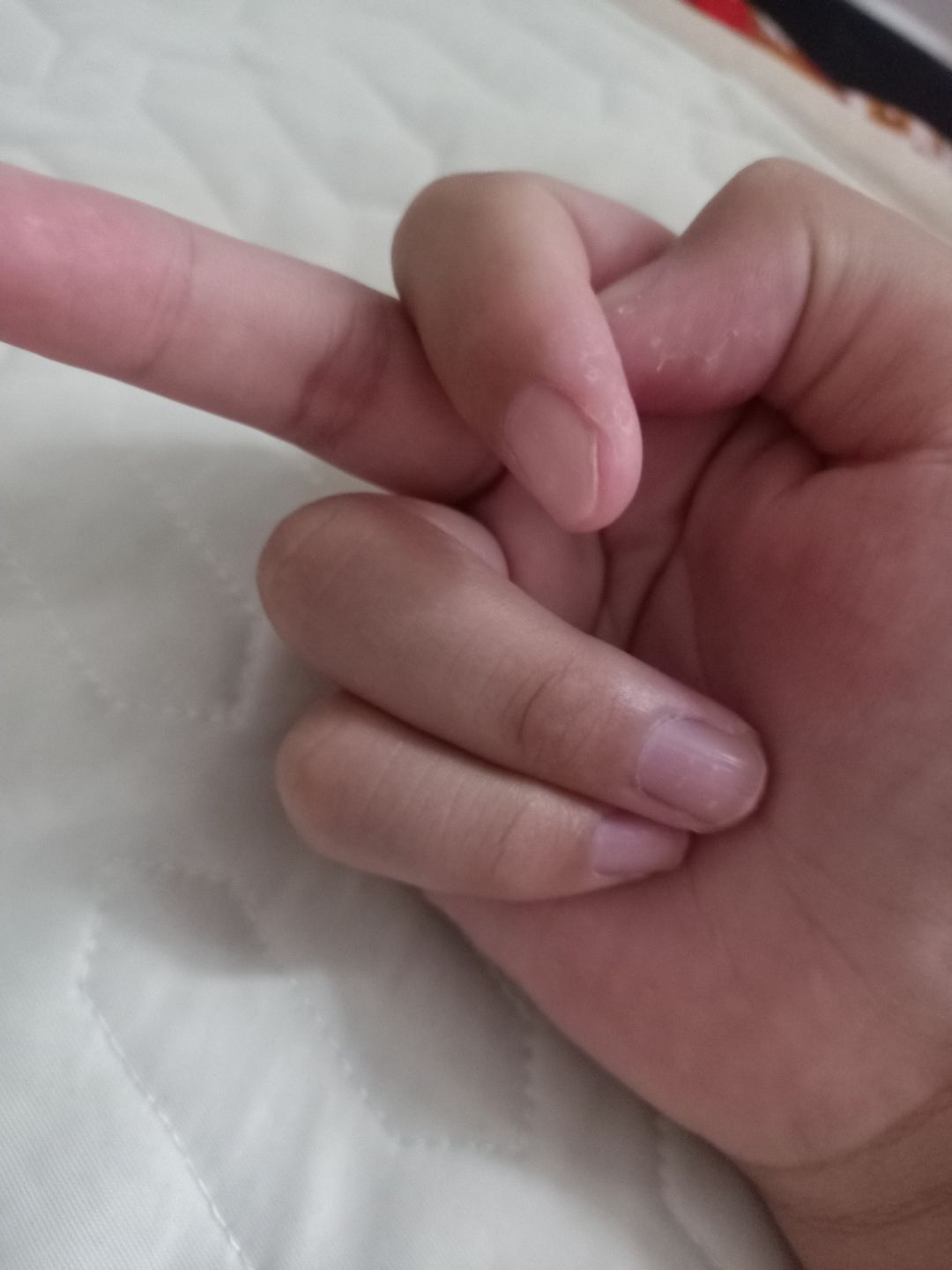 给我点三角卷 1