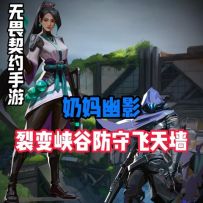 奶妈幽影裂变峡谷防守飞天墙