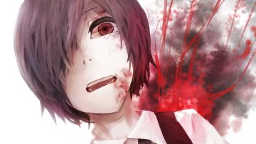 经验帖，互相学习。（长期更新）