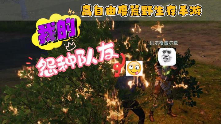 【代号曙光】试玩:我和我的冤种队友,真实感拉满截图