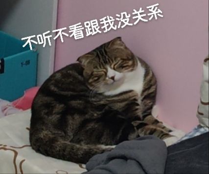 咱们就是说， 2