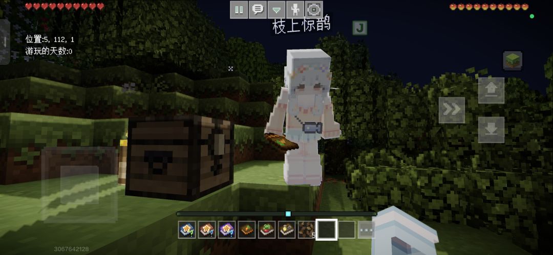 动态图片 1