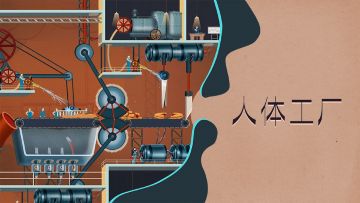 《人体工厂》美学|人体是最伟大的机器