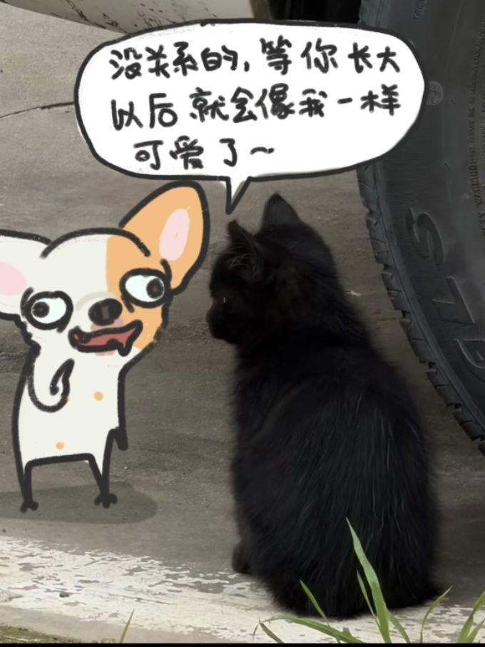 新1建家截图