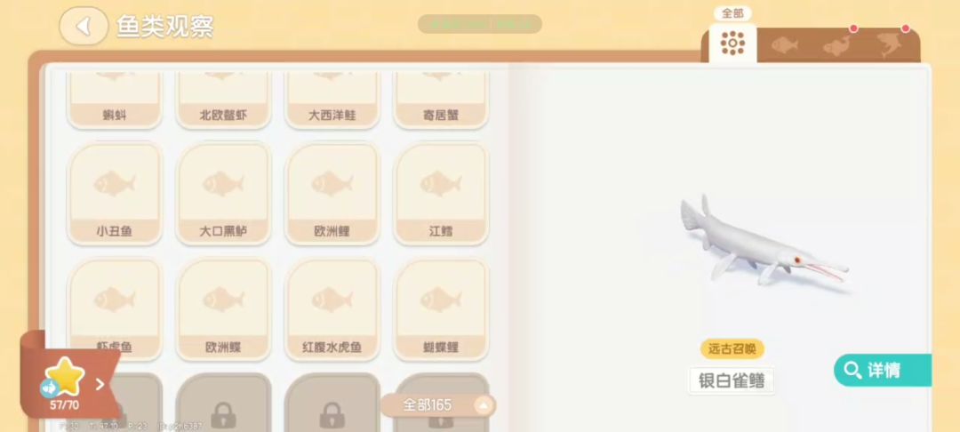这些怎么钓和做 3