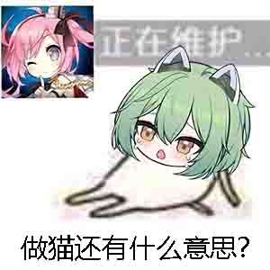 卡安妮女王号了,难受截图